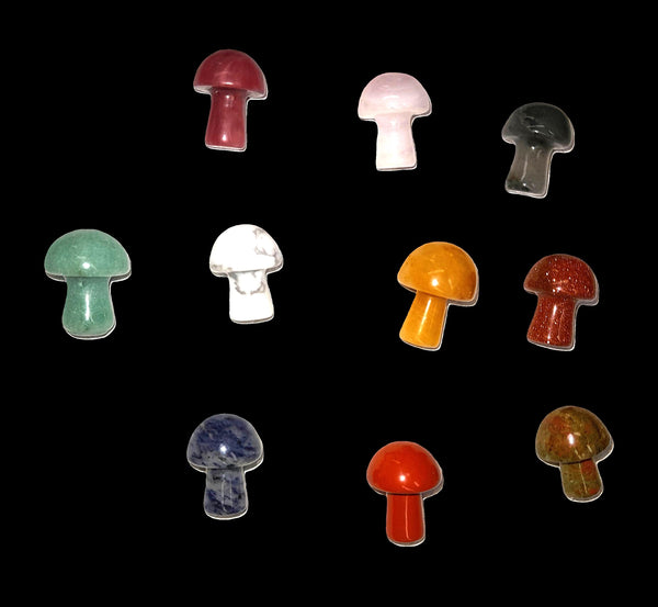 Mushrooms in Multiple Stones