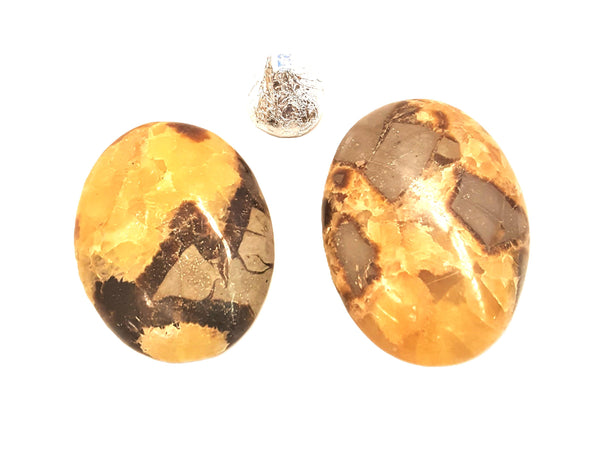 Septarian Nodule