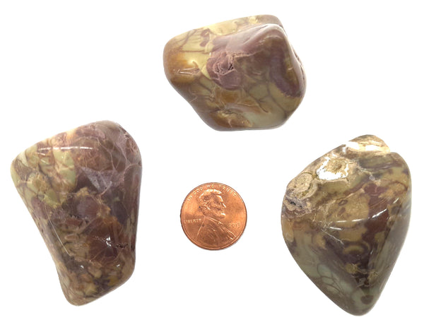 Spiderweb Jasper