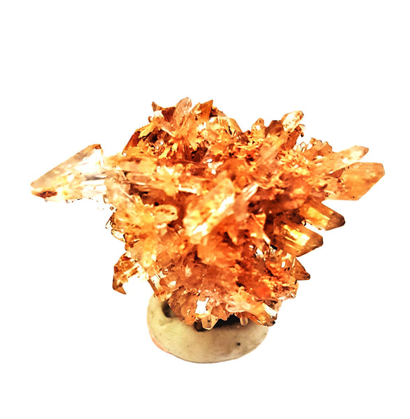 Creedite - 1.4 oz