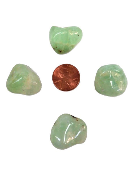 Prehnite Tumbled - .3 oz