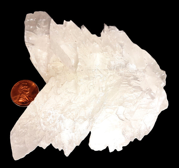 Fish Tail Selenite