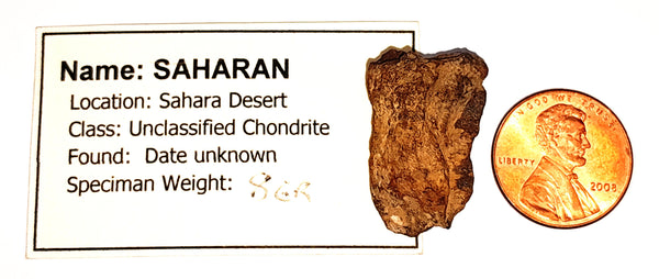 Saharan Meteorite