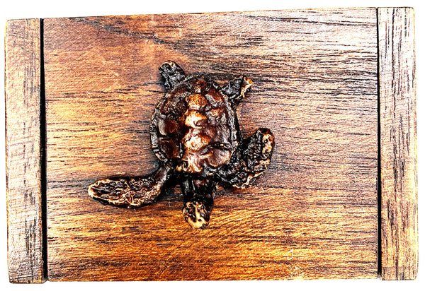 Wooden Box with Turtle on Top